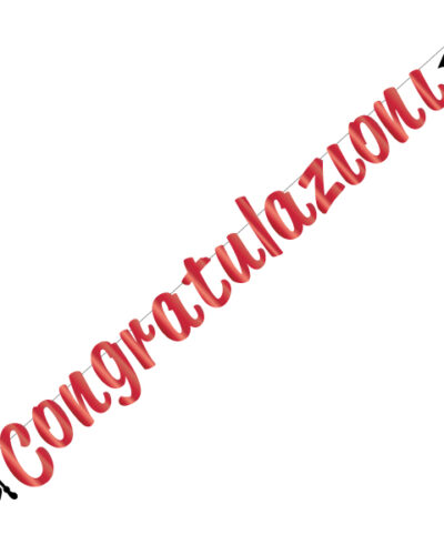 festone-laurea-congratulazioni-colorati-party-feste-happy-gratuation-545.93