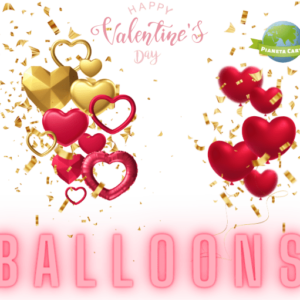 Palloncini san valentino