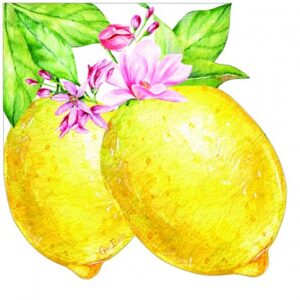 Lemony-tovaglioli-sagomati-Articoli-per-la-tavola-decorati-eleganti-tavola-accogliente-speciale-occasione-feste-cene-matrimoni-ricorrenze-compleanni-prodotti-alta-qualità-design-unico-varietà-stile-personalizzato-acquisto-online-conveniente-pianetacarta-lestelle