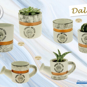 bomboniere-solidali-2023-pianetacarta-lestelle-QFC732 QFC733 QFC734 - DALI'